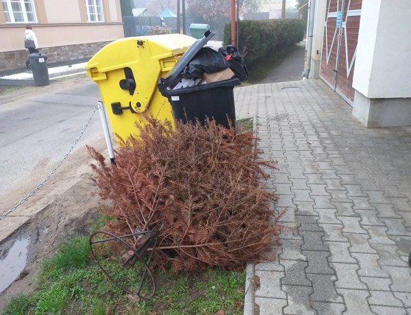 Átaludtuk az idei Karácsonyt, vagy egyszerűen hiba csúszott a rendszerbe?