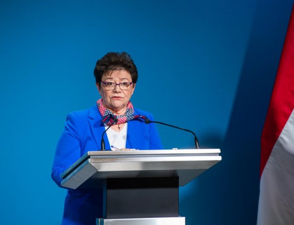 Országos tisztifőorvos: a magyar települések 85 százaléka érintett