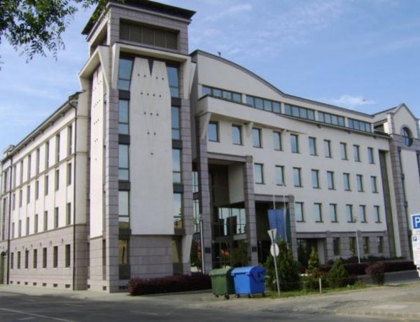 Életveszélyes sérülést okozott a gyerekek után dobott fahasáb