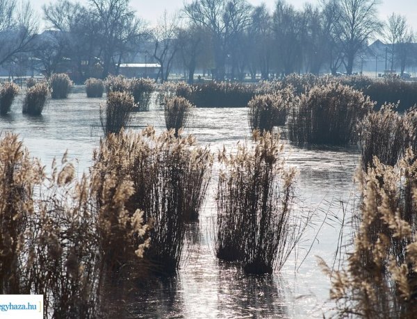 Képeken a Bujtosi Városliget! Télen is mesés látványt nyújt!