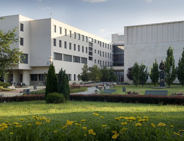 Nőtt a Nyíregyházi Egyetemre jelentkezők száma                                 