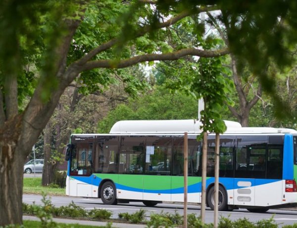 Volánbusz: május 1-jén indul az 55-ös autóbusz                