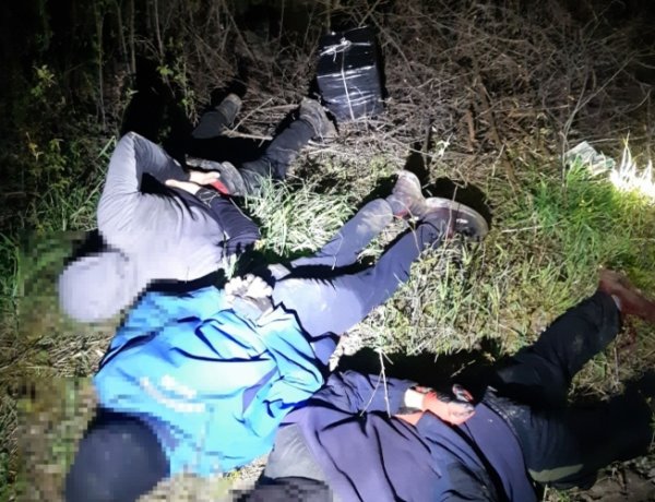 Hiába bújtak a bokrok alá, a kölcsei rendőrök elfogták őket              