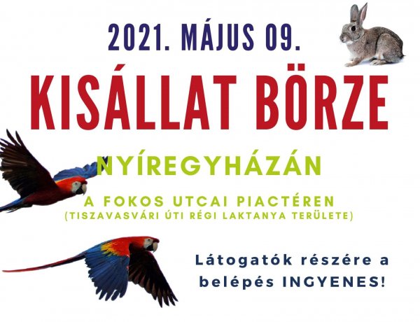 Május 9-én ismét megnyitja kapuit a kisállat börze a Fokos utcai piactéren