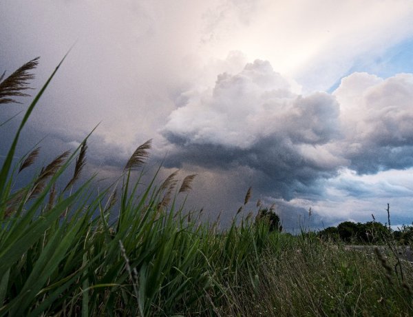 Országos Meteorológiai Szolgálat: eshet az eső, fújhat a szél
