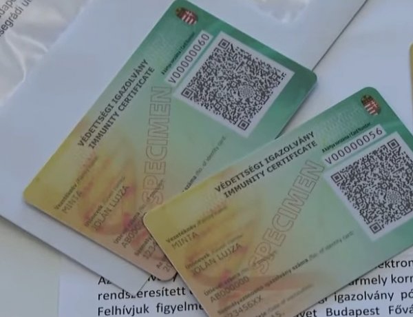 Minden, amit a védettségi igazolvány telefonos applikációjáról tudni kell