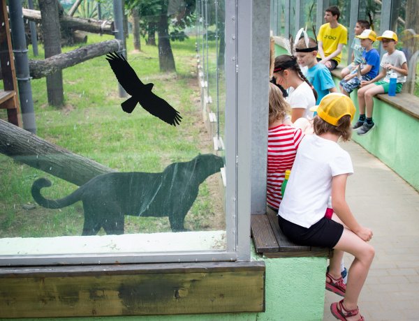 Az állati programok mellett a kézműveskedés sem marad ki a Zoo-Suli foglalkozásai közül
