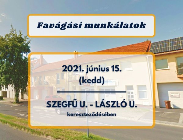 Fakivágási munkákat végez a NYÍRVV kedden a Szegfű és László utca kereszteződésében
