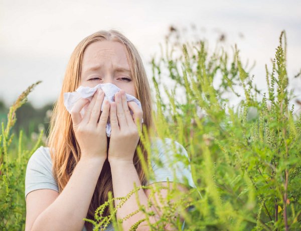 Nehéz időszak előtt állnak az allergiások                                                