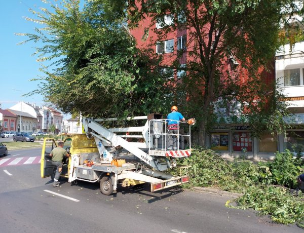 Levágták a buszöbölre lógó faágakat az Országzászló téri megállóban