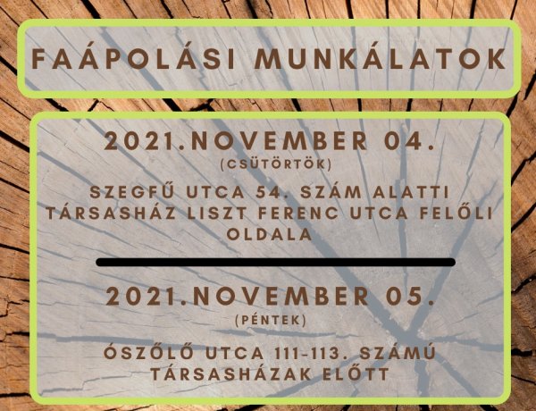 A NYÍRVV Nonprofit Kft. a héten több helyszínen is faápolási munkálatokat végez