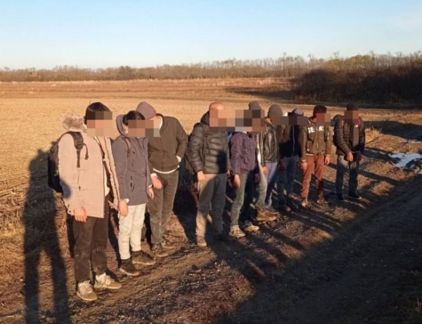 11 illegális migráns Beregdarócnál