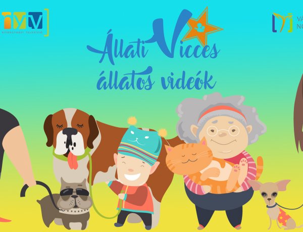 Állati Vicces Állatos Videók – Több százan neveztek a videópályázatra, több mint hatvan nyertest hirdettek!