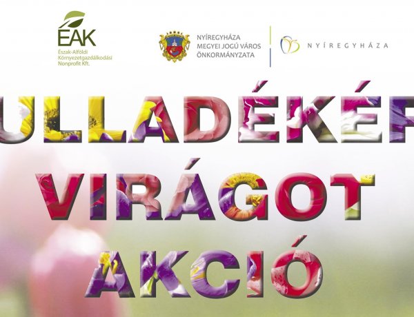 Hulladékért virágot akció