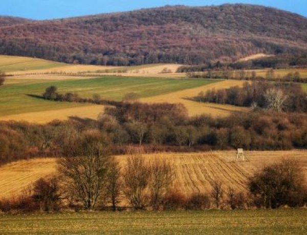  Klasszikus, tavaszias napunk lesz