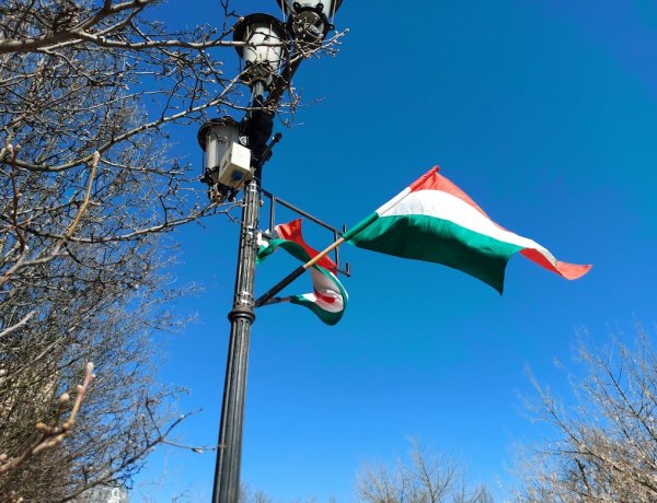 1600 lobogó díszíti Nyíregyházát az 1848-49-es forradalom és szabadságharc tiszteletére