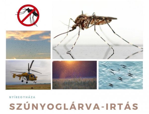 A NYÍRVV Nonprofit Kft. megbízásából újabb szúnyoglárva-irtást végeznek Nyíregyházán május 20-án