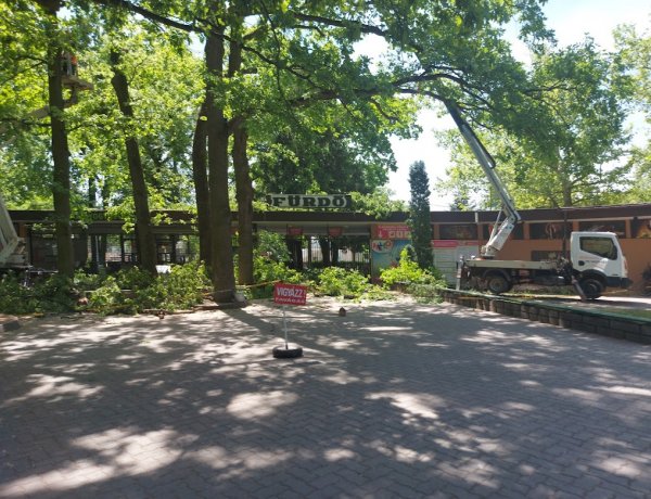 Délelőtt Sóstógyógyfürdőn, a Parkfürdő bejáratánál a veszélyes ágakat vágták le emelőkosárból