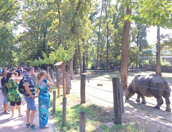 Jubilált a Nyíregyházi Állatpark! Hatalmas ünnepség volt Sóstón!