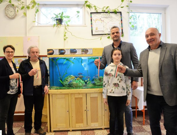 Új akvárium a sóstóhegyi iskolában