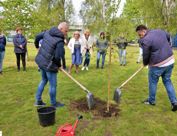 Faültetés – Hozzájárulnak egy élhetőbb város megteremtéséhez