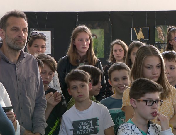 Kiállítás – Ismerjük, és szeressük meg a természetet