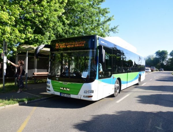Nyári buszközlekedés Nyíregyházán – Új járatok, gyakoribb indulások, éjszakai közlekedés