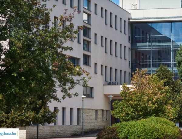 Nyíregyházi Egyetem – Hatvan százalékkal nőtt az első helyen jelentkezők száma