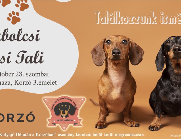 Ismét találkoznak a szabolcsi tacskók és tacskósok