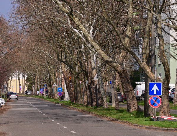 Az Ószőlő utcán is elkezdődtek a padka- és útfelújítási munkálatok
