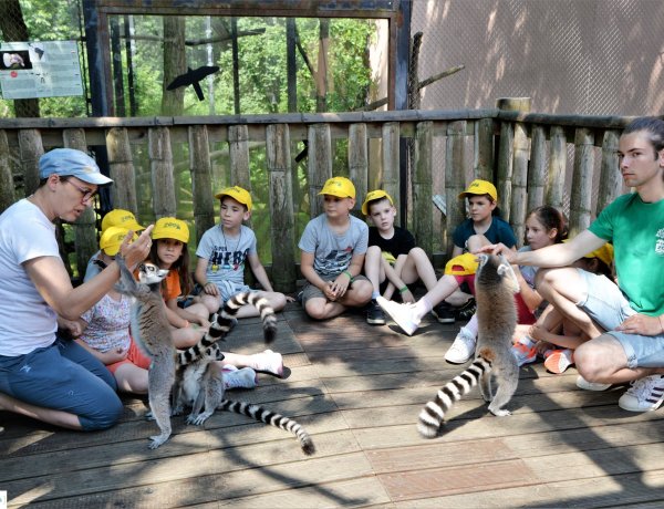 ZOO-Suli – Elindult a regisztráció a Nyíregyházi Állatpark nyári táborába
