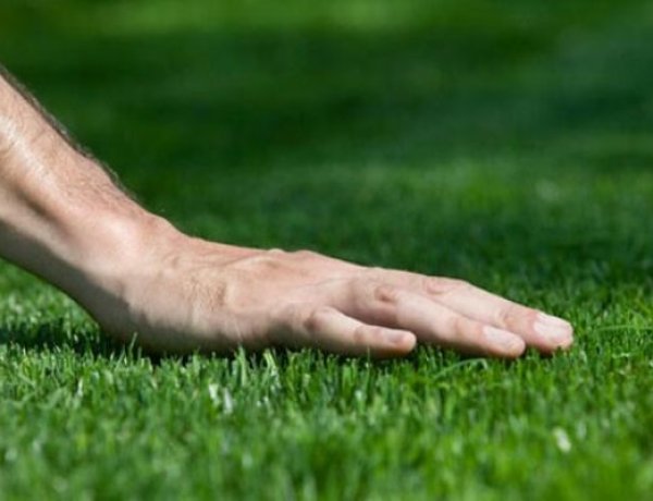 A NYÍRVV elkezdte a fűmag és a komposztos termőföld kiosztását a sikeresen pályázók között