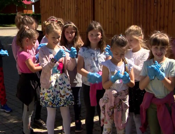 Közel 300 virággal gyarapították a belváros ágyásait a Petőfi iskola tanulói