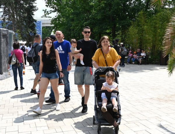 Ezer forintos nap az állatparkban – Már délután 13 óráig 5000 látogató érkezett