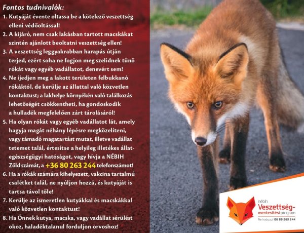 Veszettség - A megelőzés fontosságára hívja fel a figyelmet a rendőrség!
