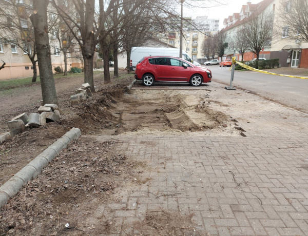 Nem volt mit tenni, de vigyáztak a fákra                               