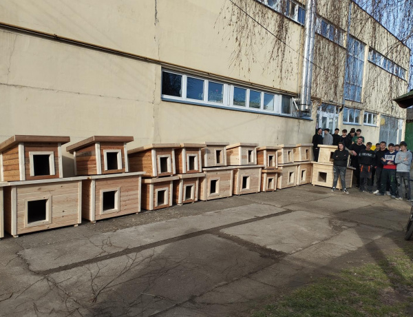 A Wesselényi diákjai készítettek kutyaházakat az Állatbarát Alapítvány négylábú lakóinak 