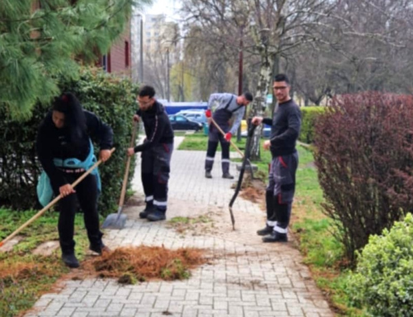 Felfrissülnek a bokrok, terek - Nagy munkában a NYÍRVV 