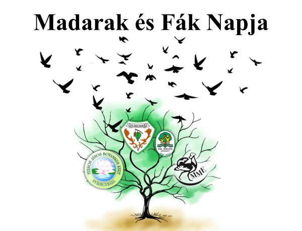 A Nyírerdő gondol a madarakra és fákra - Programot szerveznek a környezetvédelmi napon 