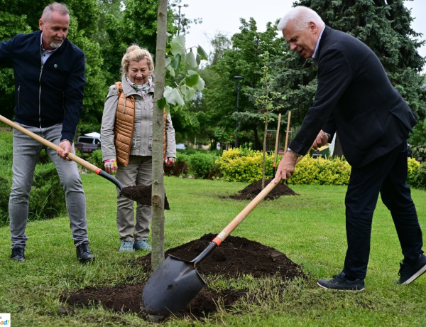 Polgármesteri fásítási program – A Nyír-Wetland Kft. is csatlakozott a város zöldítéséhez