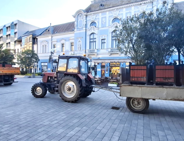 A NYÍRVV már tud valamit az időjárásról? - A nyarat idéző növények is helyükre kerültek!