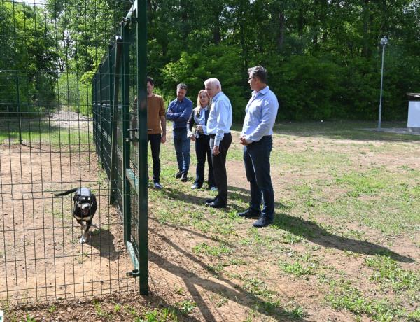 Állatvédelem – A felelős állattartásra és örökbefogadásra hívják fel a figyelmet
