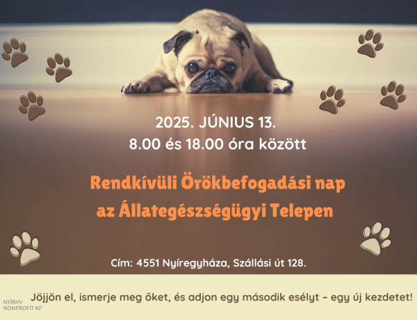 Tegyen jót egy kutyával, és szerezzen örömöt magának!