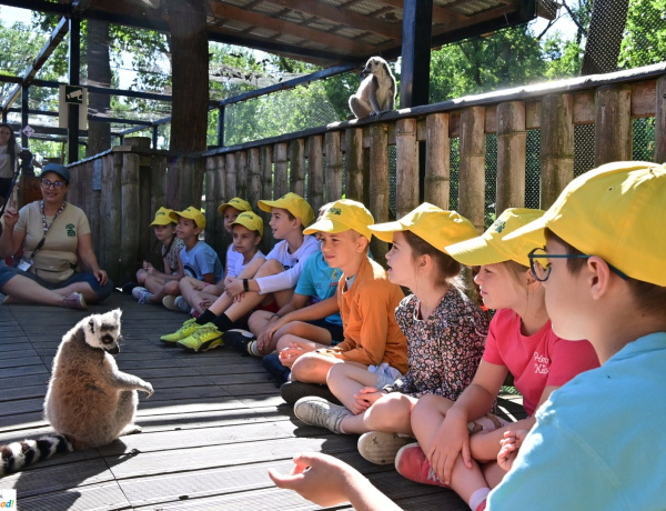 Véget ért a ZOO-Suli – Négyszáz gyermek gazdagodott életre szóló élményekkel a Nyíregyházi Állatpark nyári táborában 