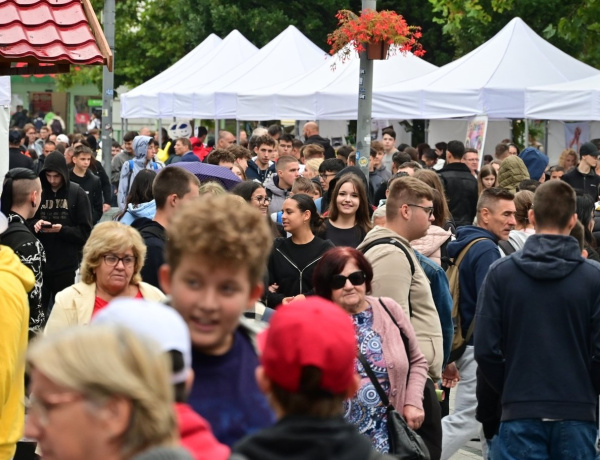 SzakMAfest: hatalmas érdeklődés a pályaorientációs napon