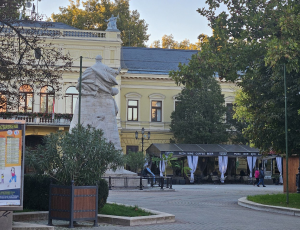 Állást hirdet az önkormányzat - projektmenedzsert keresnek