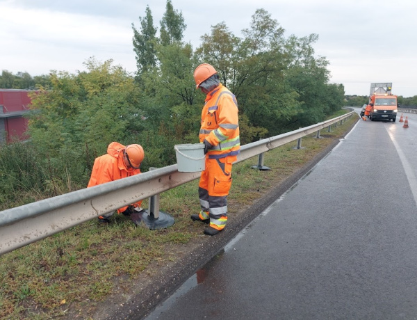 A vadnövényzet terjedését gátolják a kihelyezett védőtálcák