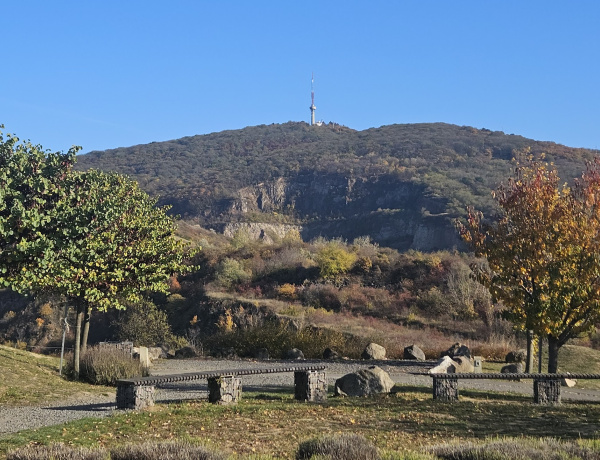Pezsgőbontással búcsúztatják az évet a tokaji hegyen