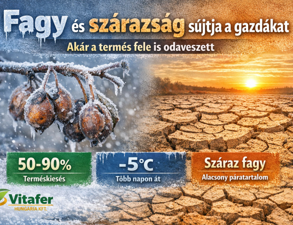 Fagy és szárazság sújtja a gyümölcsösöket – jelentős terméskieséssel számolnak a gazdák