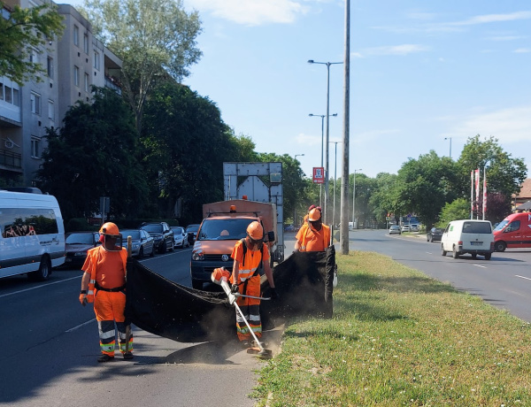 Fűnyírás és gyomirtás zajlik a nyíregyházi nagykörúton